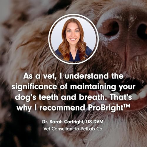 PetLab Co. ProBright Dental Powder - Dog Breath Freshener - Teeth Cleaning Made Easy – Targets Tartar & Bad Breath - Formulated for Medium Size Dogs
