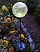 Moonrays 99924 Color Changing Solar Glass Ball Fixture, 1 Pack