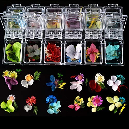 editTime 36 PCS Nail Dried Flowers Daisy Hydrangea Macrophylla and Leaf for Manicure Natural Real Dry Flower Kit 3D Nail Art Sticker Flower Beauty Nail Stickers