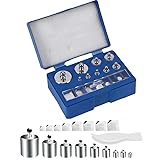 17 Pcs 10mg-100g Grams Calibration Weights
