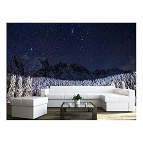 Winter Landscape - Trees and Mountains with Snow Under The Starry Sky - Removable Wall Mural | Self-Adhesive Large Wallpaper - 66x96 inches