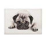 NYMB KOTOM Cute Animals Decor, Sadly Pug Puppy Dog Lying Down Bath Rugs, Non-Slip Doormat Floor Entryways Indoor Front Door Mat, Kids Bath Mat, 15.7x23.6in, Bathroom Accessories
