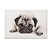 NYMB KOTOM Cute Animals Decor, Sadly Pug Puppy Dog Lying Down Bath Rugs, Non-Slip Doormat Floor Entryways Indoor Front Door Mat, Kids Bath Mat, 15.7x23.6in, Bathroom Accessories