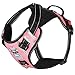 BABYLTRL No Pull Dog Harness with Leash & Collar, Adjustable Dog Vest Harness Reflective Oxford No-Choke Soft Pet Harness for Small Medium Large Dogs Easy Control Harness (Harness-Pink, Large)