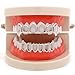 LuReen Silver Vampire Fangs 6 Open Face Outline Grillz Teeth Top Bottom Set Hip Hop Teeth (Silver)