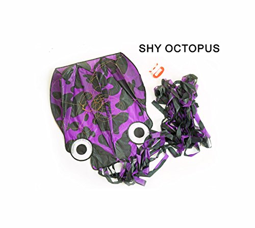 3 kizh+Octopus+Frameless+Parafoil+Playground