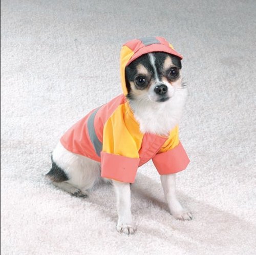 X-LARGE - PEACH - Waterproof Storm Dog Jackets