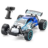 LDB Direct Remote Control Car, RC Car 2.4 GHZ High Speed Racing Car 1:20 2WD Electric Sport Racing Hobby Cars Christmas Birthday Gifts for Boys Girls Adults Kids (Blue)