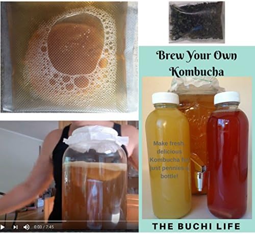 SCOBY Organic Kombucha Starter Kit Includes e-Book &amp; Video Series, Our Premium Tea Blend. Brew Your Own with The Buchi Life. Exceptional Customer Support!
