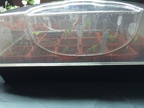 4 EarlyGrow+70738+Medium+Domed+Propagator