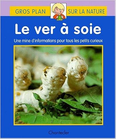 Le  ver à soie