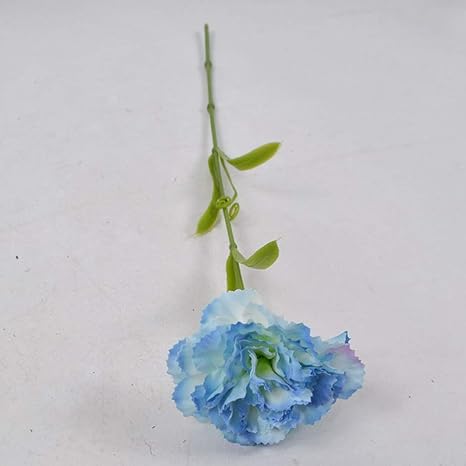 Amazon 造花 枯れない花 花束 明るい色合い 本物そっくり 癒し おしゃれ リース 観葉植物 置物 ナチュラル 友達に贈る 母の日ギフト 事務所 店 喫茶店 結婚式 卒業式 誕生日 フラワーアレンジメント アートフラワー カーネーション 2本セット 造花 オンライン通販 Amazon 造花 枯れない花 花束 明るい色合い 本物そっくり 癒し おしゃれ リース 観葉植物 置物 ナチュラル 友達に贈る 母の日ギフト 事務所 店 喫茶店 結婚式 卒業式 誕生日 フラワーアレンジメント アートフラワー カーネーション 2本セット 造花 オンライン通販