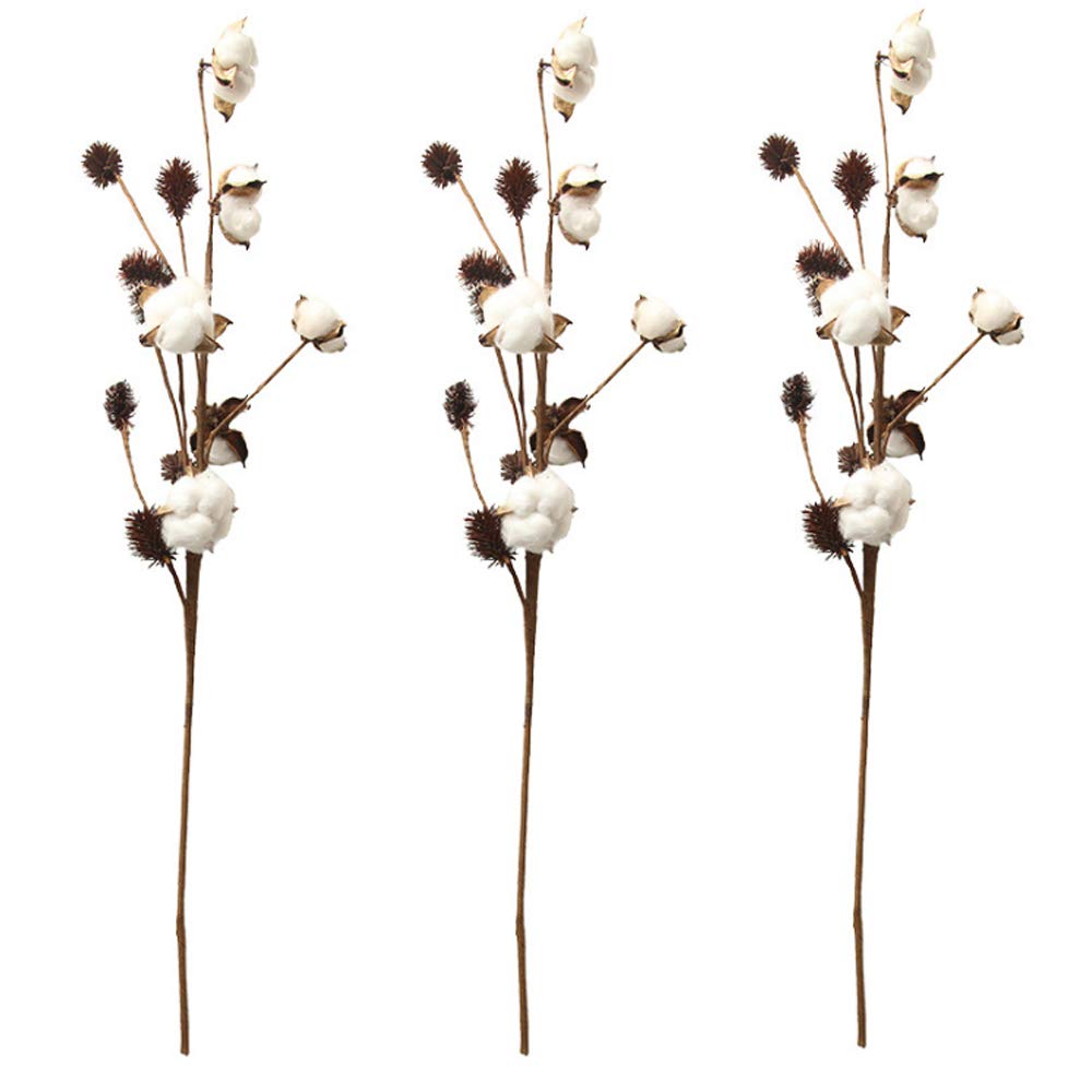 Aisamco 3 Pack Cotton Stems Farmhouse Decoration Floral Picks Rustic Style Vase Filler Rustic Cotton Branches 26.8'' Per Stem Decoration Flower