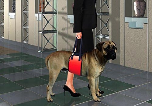 Pets Finer Dog Lift Support Harness for Dogs with Arthritis, Injuries ,Weak Legs or Joints Assists with Mobility and Protects Bonus Dog Seat Belt Cover for the Car Included (Red, Large)