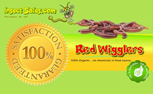 Red Wigglers (129 Count) Live, Healthy Red Worms for Composting & Fishing Bait