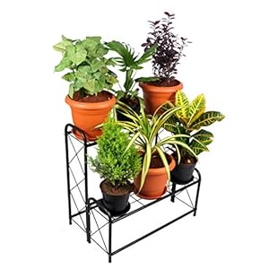 D&V ENGINEERING – Creative in innovation Metal 2 Tier Step Type Plant Stand, Black, 26 inch, 1 Piece
