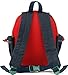 Kid Toddler Walking Safety Harness with Cute Teddy Bear/Bunny Backpack - Sold and Ship From USA (Red Teddy Bear)