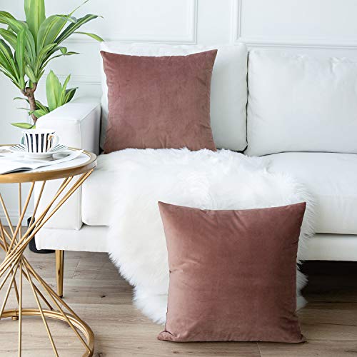 JUSPURBET Velvet Throw Pillow Covers for Sofa Couch Bed,Pack of 2 Throw Pillow Cases,Decorative Soft Pillowcases,18x18 Inches,Jam