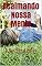 Livro Acalmando Nossa Mente: Meditação