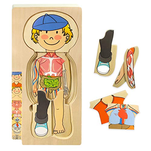 Kidzlane Wooden Human Body Puzzle for Kids and Toddlers 29 Piece Boys