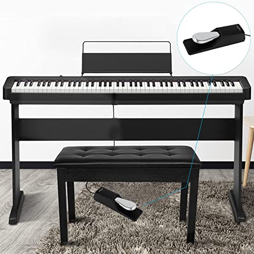 Universal Sustain Pedal, Keyboard Pedal with Polarity Switch,Upgraded