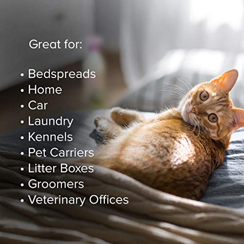 Earth Rated Pet Stain and Odor Remover, LavenderScented Pet Cleaner