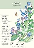 Borage Seeds - 1 gram - Organic