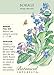 Borage Seeds - 1 gram - Organic