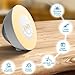 LAPUTA Sunrise Alarm Clock Wake Up Light Alarm Clock with 6 Nature Sounds, FM Radio, 7 Colors Night Light, Smart Snooze Function and Touch Control