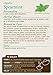 Traditional Medicinals Tea, Organic Spearmint, Supports Everyday Wellness, Healthy & Refreshing, 16 Tea Bags