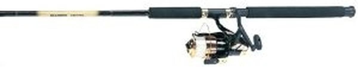 Master Fishing Tackle Rod Co Surf Spin Rod (2-Piece), Black/Gold, 9-Feet