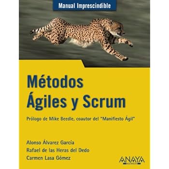 Métodos Ágiles y Scrum (Manuales Imprescindibles)