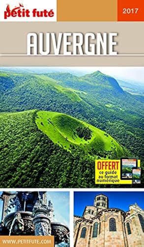 Download Petit Futé Auvergne PDF