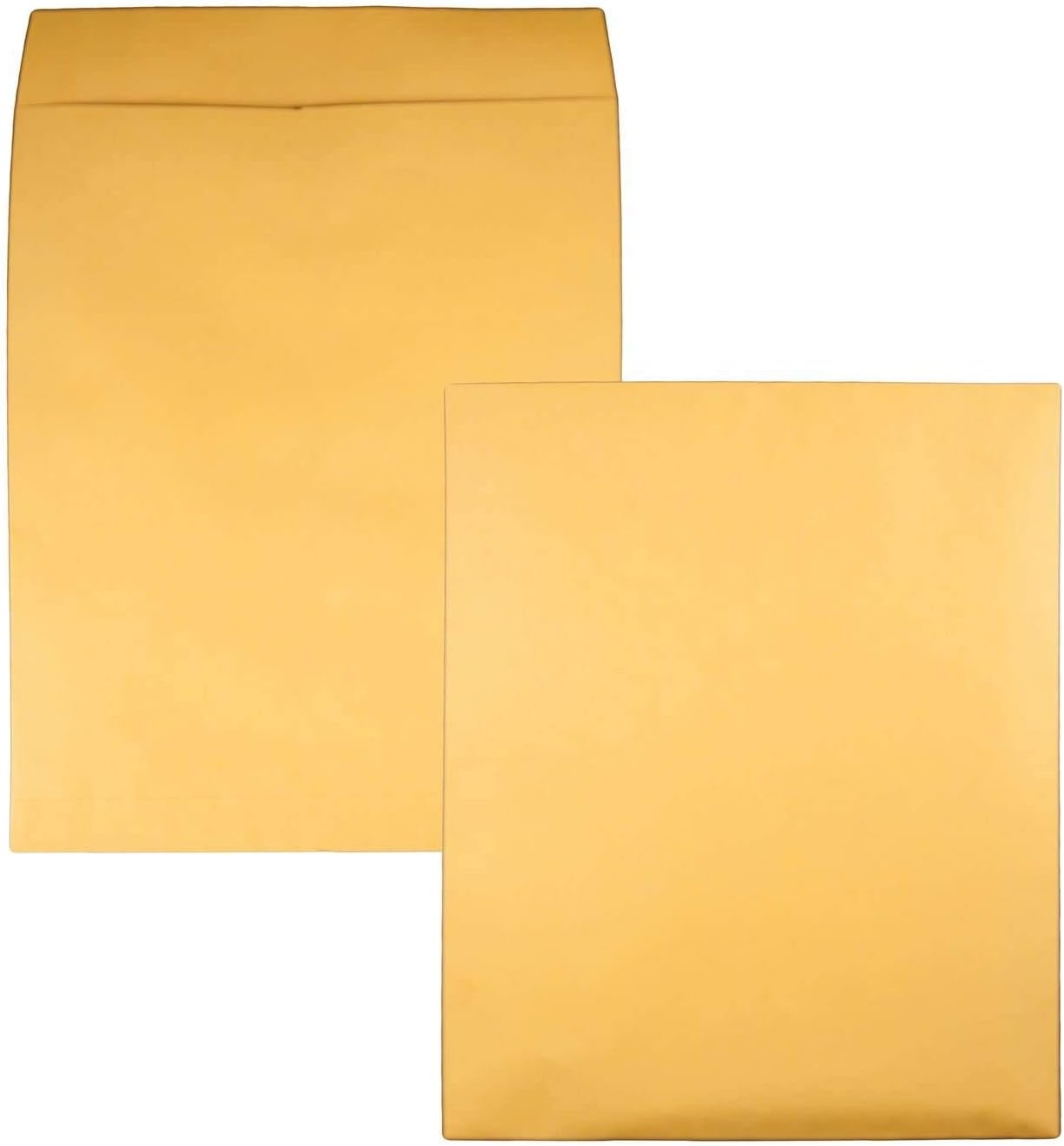 Quality Park, Jumbo Kraft Envelopes, Ungummed, Brown Kraft, 14x18, 25 per Box (42354) : Envelope Mailers : Office Products