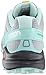 Salomon Women's Speedcross 3-W, Light Onix/Topaz Blue/Dark Cloud, 8 M US