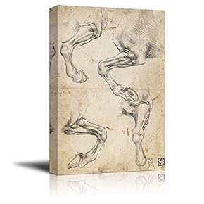 Study of Horses (Horse AnatomySketches) by Leonardo da Vinci - Canvas Print Wall Art Famous Oil Painting Reproduction - 12" x 18"