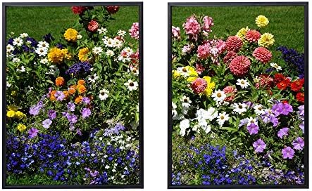 50x70cm X2枚 ライト高級 クリスタル磁器の装飾画 黒アルミ合金フレーム ベルベットペチュニアme Notsデイジー花花壇緑美しさ アートパネル 壁掛け絵画 インテリアアート 現代 壁飾り 部屋飾り 壁ポスター 絵画 玄関 おしゃれ モダン 壁掛け Tanke Cl