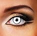 5 Colors Eyes Color Contacts Lens Eyes Cosmetic Makeup Eye Shadow (white)