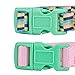 Blueberry Pet Pack of 2 Multiple Patterns Mix and Match Pretty Picks Adjustable Dog Collar with Detachable Pink Flower Accessory, Small, Neck 12