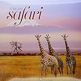 African Safari 2016 Calendar by 