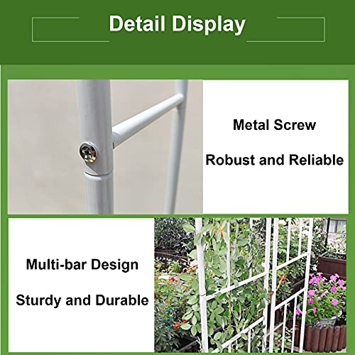 SXNYC Rosenbogen, Rankhilfe, Rosenbogen Rankhilfe, Rundbogen im Landhausstil, mit Graceful Kurve, für Kletterpflanzen… – Bild 4