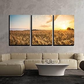 3 Piece Canvas Wall Art - Golden Ears and Field of Wheat Ready to Be Harvested. This Photo Made in Hungary - Modern Home Art Stretched and Framed Ready to Hang - 16"x24"x3 Panels