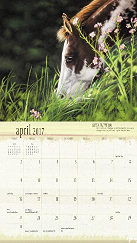 Lesley Harrison The Spirit Of Horses Wall Calendar 2017