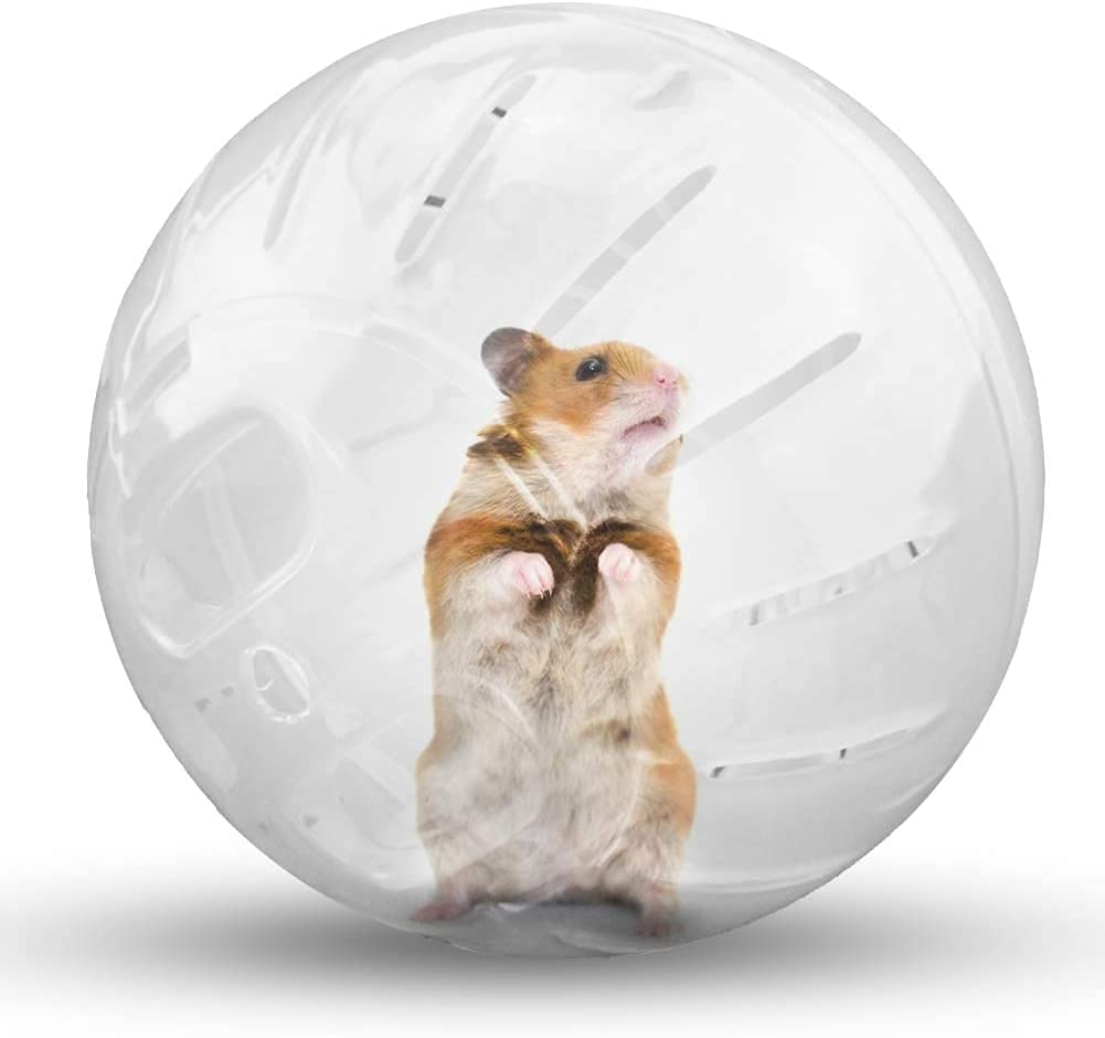 Voarge Running Ball for Rodents, Hamsters, Movement, Rodent Toy for Running, Plastic, 12 cm, Transparent