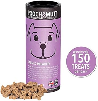 12 week old puppy peeing in house