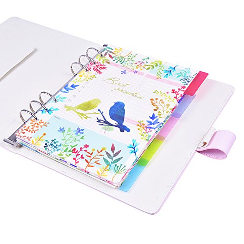 Rancco A6 Dividers Insertable Index Page Tab Cards, 10 Pcs Translucent 6-Holes Binder Classified Lables for Filofax Notebook/ Travel Diary Journal/ Planner w/ Ruler(2 Set)