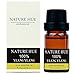 Nature Hue - Ylang Ylang Essential Oil 10 ml, 100% Pure Therapeutic Grade, Undiluted