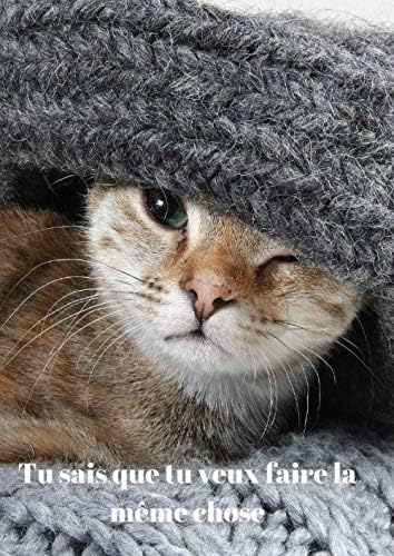 Tu Sais Que Tu Veux Faire La Meme Chose Mignon Chat Sur Carnet De Notes Ideal