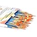 Acrylic Paint Brush Set, 6 packs/60pcs Nylon Hair Brushes for All Purpose Oil Watercolor Painting Artist Professional Kits