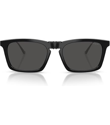Amazon.com: Coach Sunglasses HC 8328 U 500287 C6196 Black Dark
